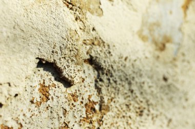 yaşlı duvar arka plan