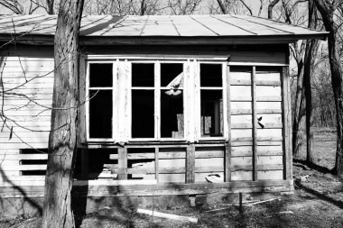 Eski terk edilmiş evde, gri tonları