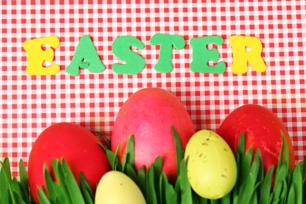 Easter eggs and grass on colorful paper background — Stock Photo, Image