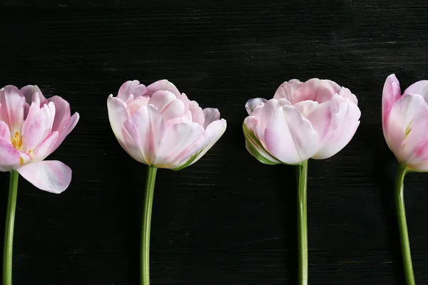 Čerstvý tulipány na dřevěné pozadí — Stock fotografie