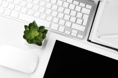 Office çalışma alanı tablet ve pot bitki ile yakın çekim