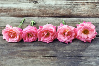 Satır güzel pembe Gül ahşap tablo