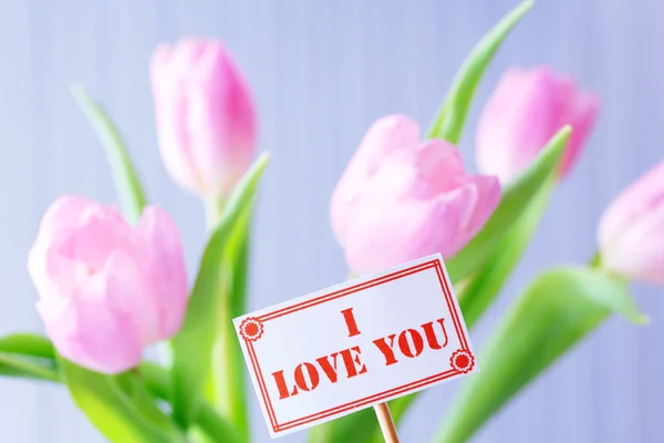 Beautiful pink tulips with tag on light background — Stock Photo, Image