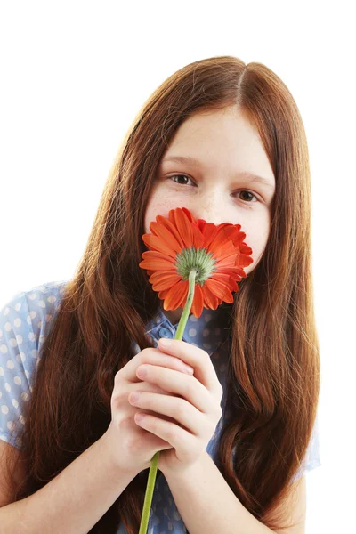 Девочка с цветочком, изолированная на белом — стоковое фото