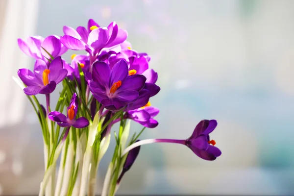 窓辺に紫色のクロッカスの花 — ストック写真
