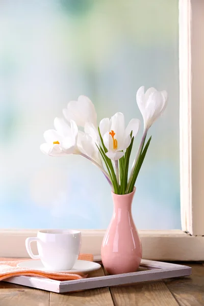 Weiße Krokusse in der Vase — Stockfoto