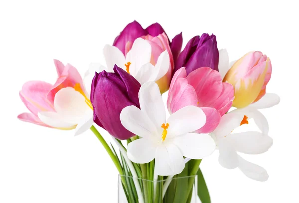 Bouquet with tulips and crocus — Stock Photo, Image