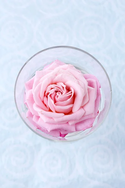 रंग वॉलपेपर पृष्ठभूमि पर ग्लास में सुंदर ताजा गुलाब — स्टॉक फ़ोटो, इमेज