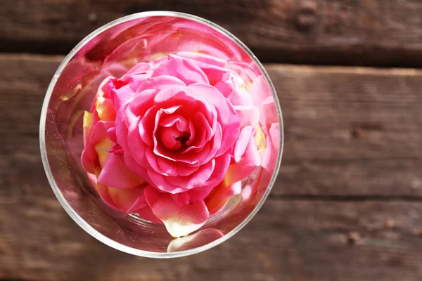 Rosa bonita em vaso de vidro, vista superior — Fotografia de Stock