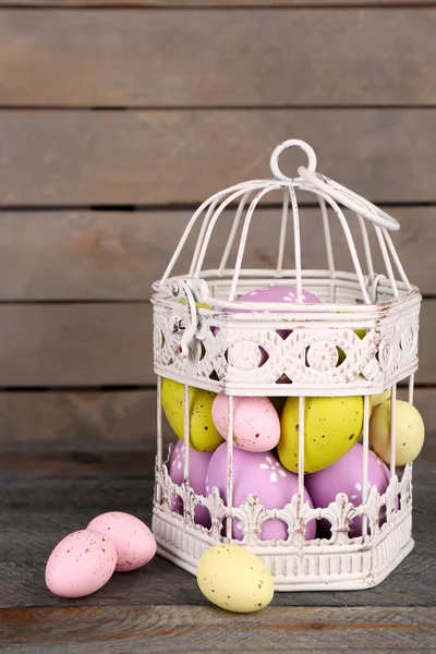 Easter eggs in decorative cage — Stock Photo, Image