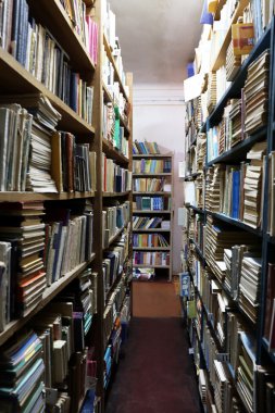 Pek çok kitap kütüphane içinde bookshelf