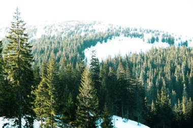 Güzel Karpat Dağları manzarasına kışın