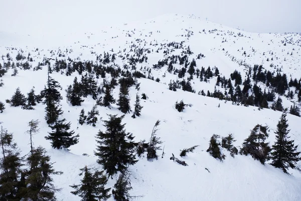 Snowy mountains in wintertime — Stock Photo, Image