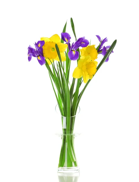 Schöne Frühlingsblumen isoliert auf weiß — Stockfoto