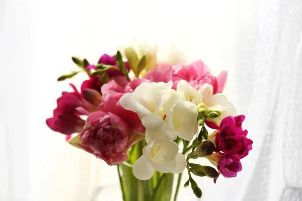 Bellissimi fiori primaverili, primo piano — Foto Stock