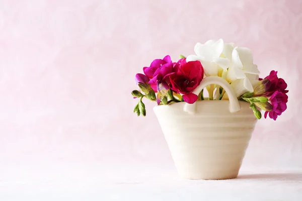 Schöne Frühlingsblumen auf hellrosa Hintergrund — Stockfoto