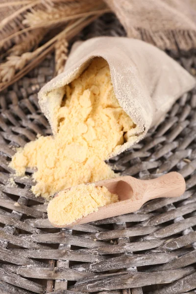 Whole flour in bag with wheat ears — Stock Photo, Image