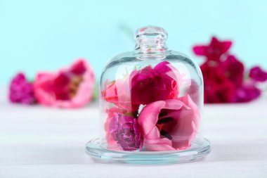 Turkuaz zemin üzerine çiçekli güzel kompozisyon