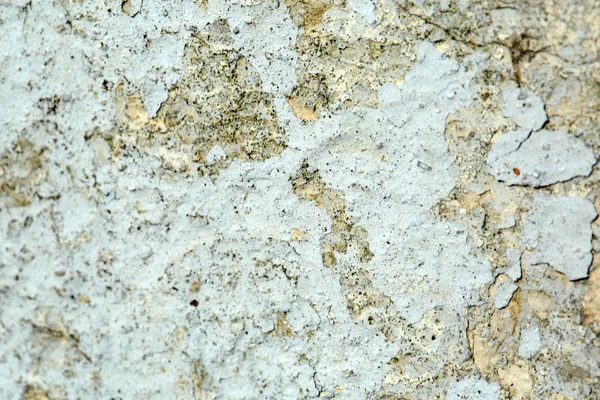 Peeling Farbe auf Zement Hintergrund Textur — Stockfoto