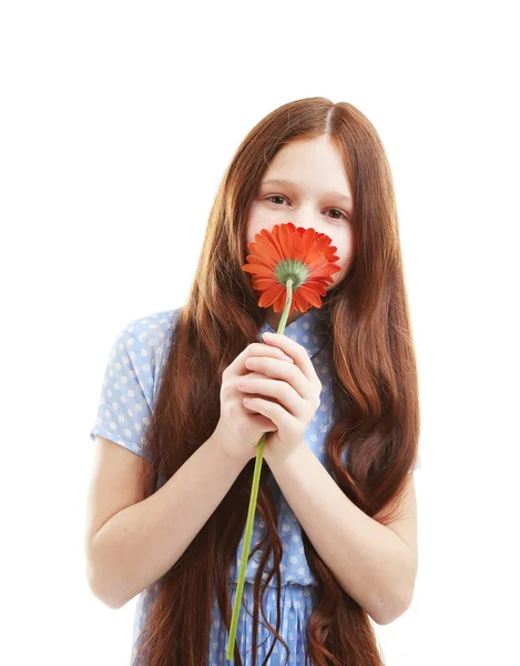 白で隔離の花を持つ美しい少女 — ストック写真