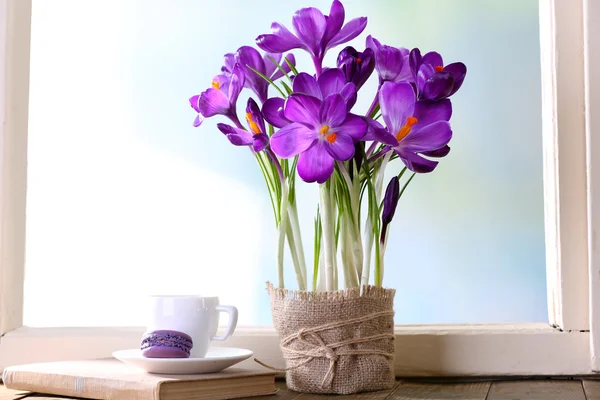 Purple crocus on windowsill background — Stock Photo, Image