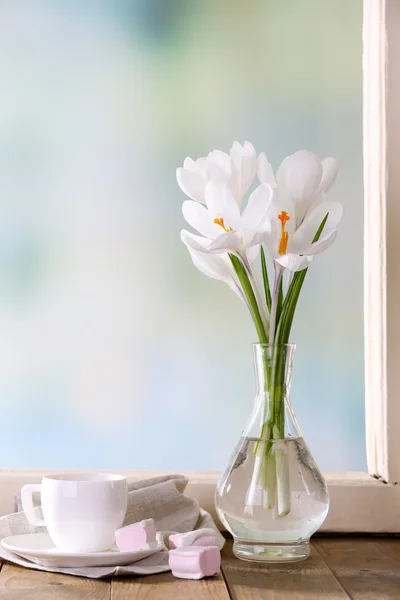 Witte crocus in vaas op vensterbank achtergrond — Stockfoto