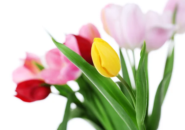 Fresh bouquet with tulips on blurred background — Stock Photo, Image