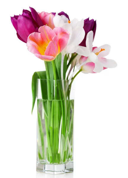 チューリップとクロッカス白で隔離新鮮な花束 — ストック写真