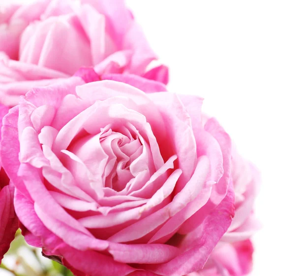 Ramo de hermosas rosas frescas aisladas en blanco —  Fotos de Stock