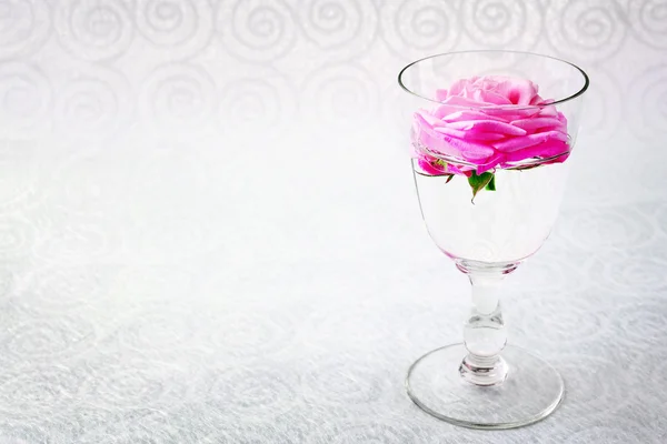 Belle rose fraîche en verre sur fond de papier peint couleur — Photo