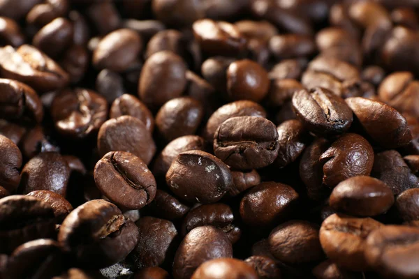 Grãos de café, close-up — Fotografia de Stock