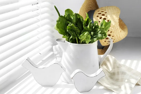 Watering can with variety of green leaves for salad on windowsill — Zdjęcie stockowe