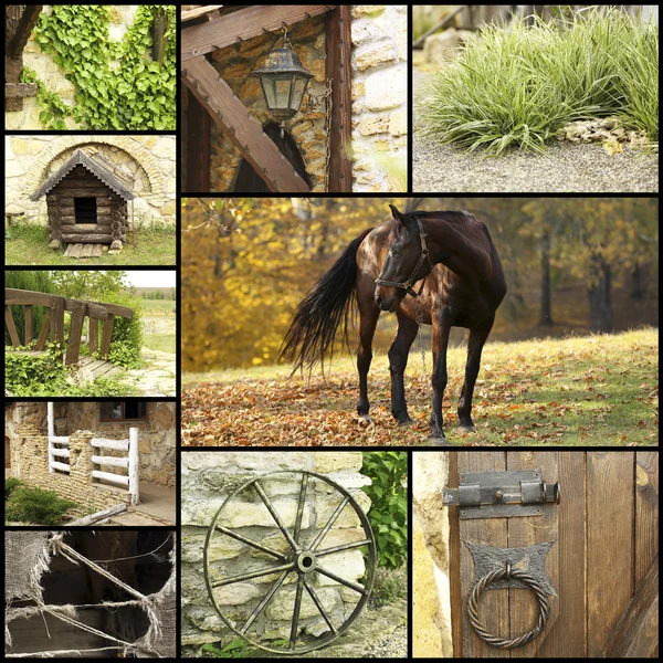 Platteland collage — Stockfoto