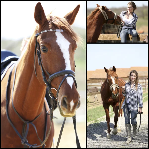 Collage de chica con caballo — Foto de Stock