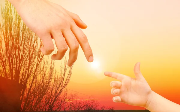 Child and father hands on nature background — Stock Photo, Image