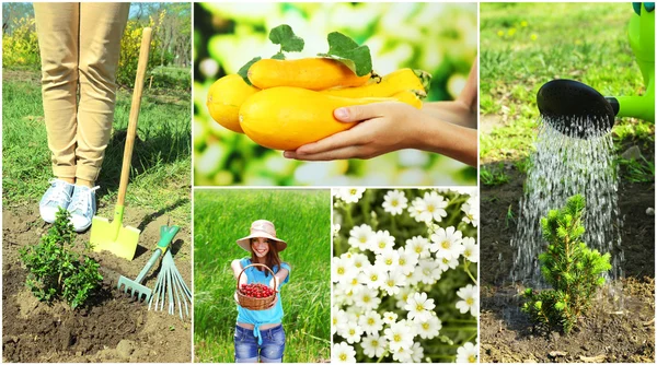 Colagem de jardinagem — Fotografia de Stock