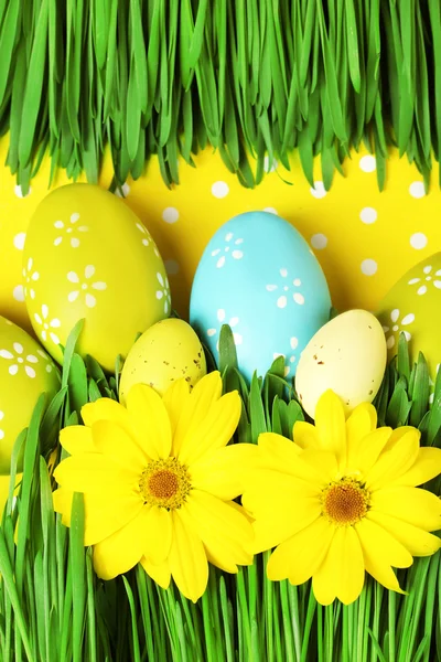 Huevos de Pascua y hierba sobre fondo de papel colorido — Foto de Stock