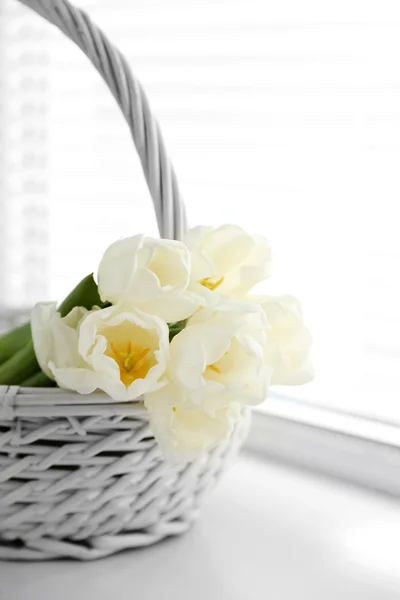 Hvide smukke tulipaner i let interiør - Stock-foto