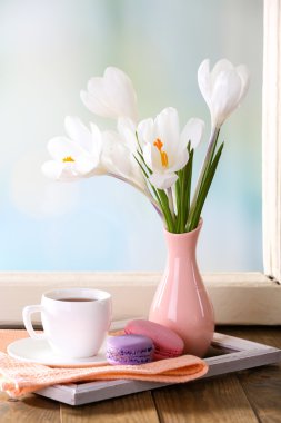 Pencere arka plan üzerinde Vazoda beyaz Çiğdem