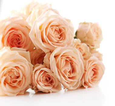 Beyaz izole güzel taze gül buketi