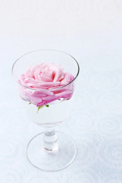 Beautiful fresh rose in glass on color wallpaper background — Stock Photo, Image