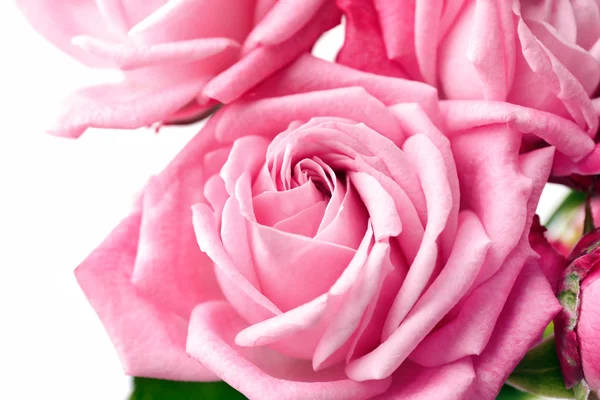 Bouquet di belle rose fresche, primo piano — Foto Stock