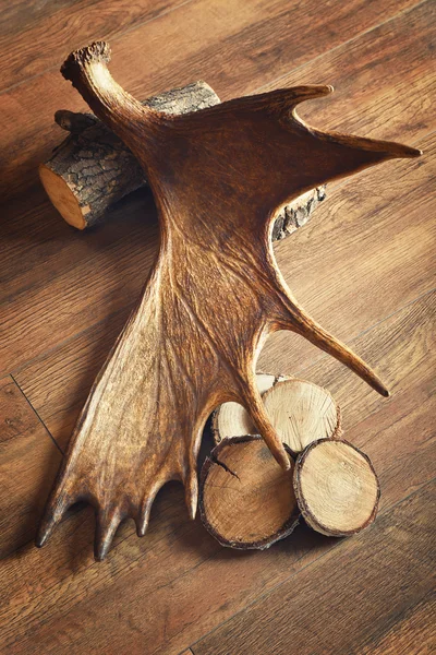 Moose antler with firewood on wooden background — Stock Photo, Image