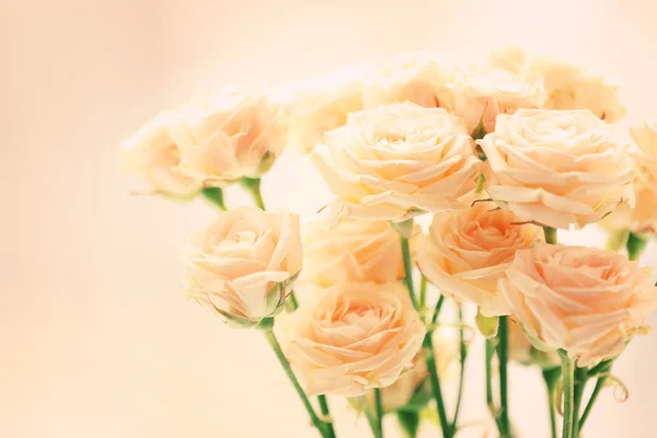 Bouquet of beautiful fresh roses on curtains background — Stock Photo, Image