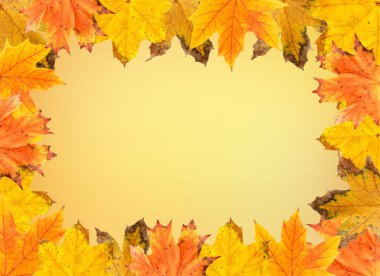 Sonbahar yaprakları sarı zemin üzerine çerçeve