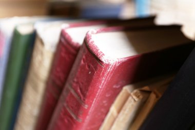 Eski kullanılmış kitaplar kütüphane, portre