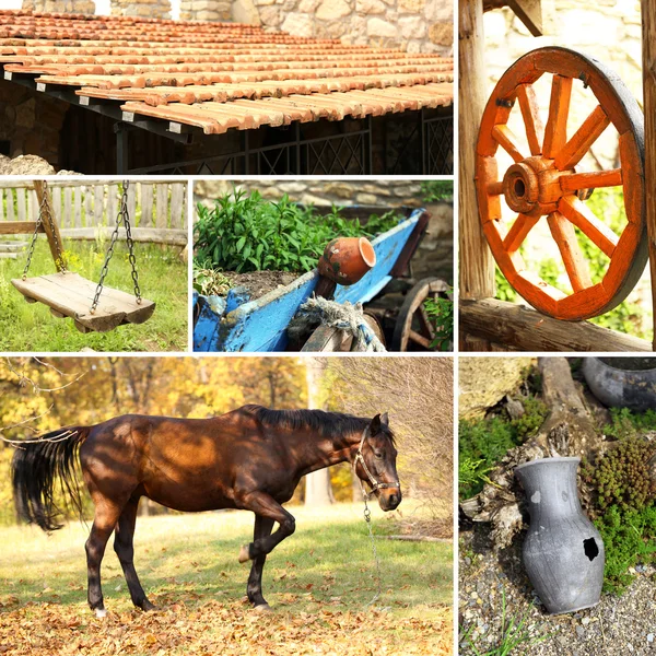 Collage à la campagne — Photo