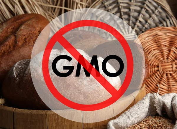 Färskt bröd utan gmo — Stockfoto