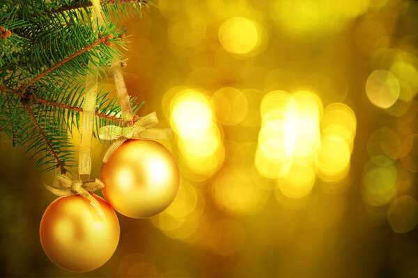 Christmas balls on fir tree on festive shiny background