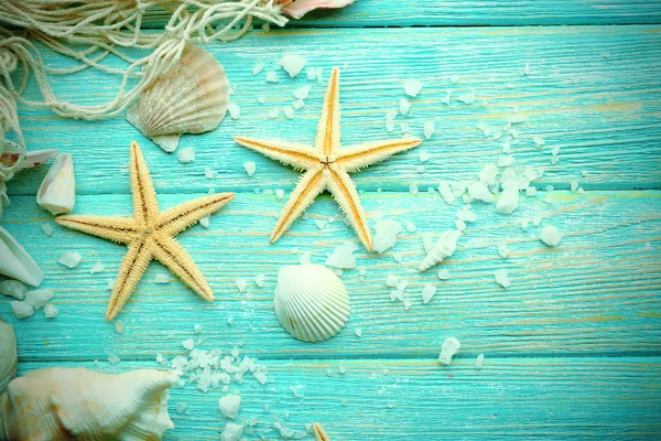 Sea stars and shells — Stock Photo, Image